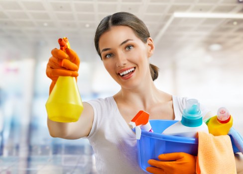 SSL-encrypted carpet cleaning checkout interface