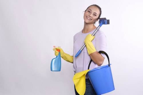 Common household stains handled by stain removal services in Barnes Cray