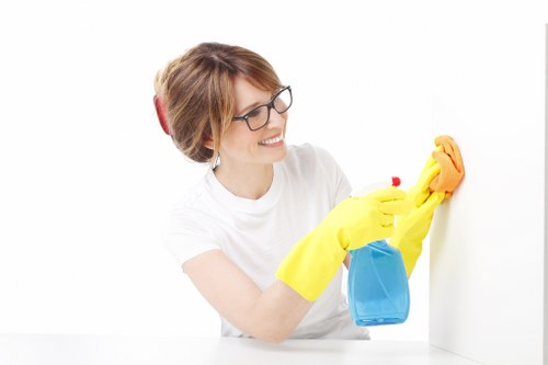 Enzyme treatment for pet urine odour in a Barnes Cray home
