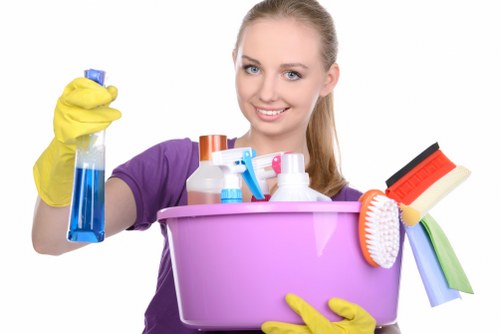 Deep cleaning upholstery for pet stain odour removal in Barnes Cray